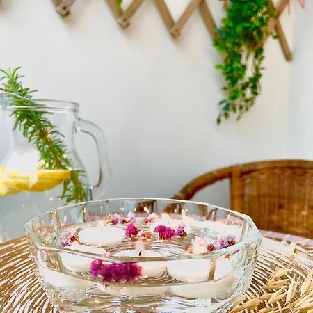 Апартаменты Haplotes Rhodes *